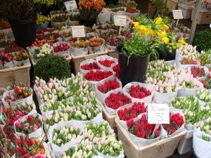 A flower shop at the Floating Flower Market